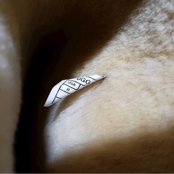 Tall Uggs - Picture 4 of 5